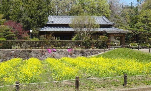🏞️ 니시키오리 공원(錦織公園) 이미지 5